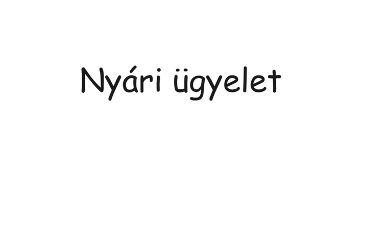 Nyári szünet ügyeleti rend: