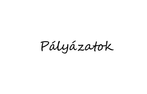 Igazgatói pályázatok